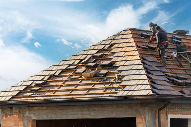 Best Roof Leak Repair  in Minooka, IL